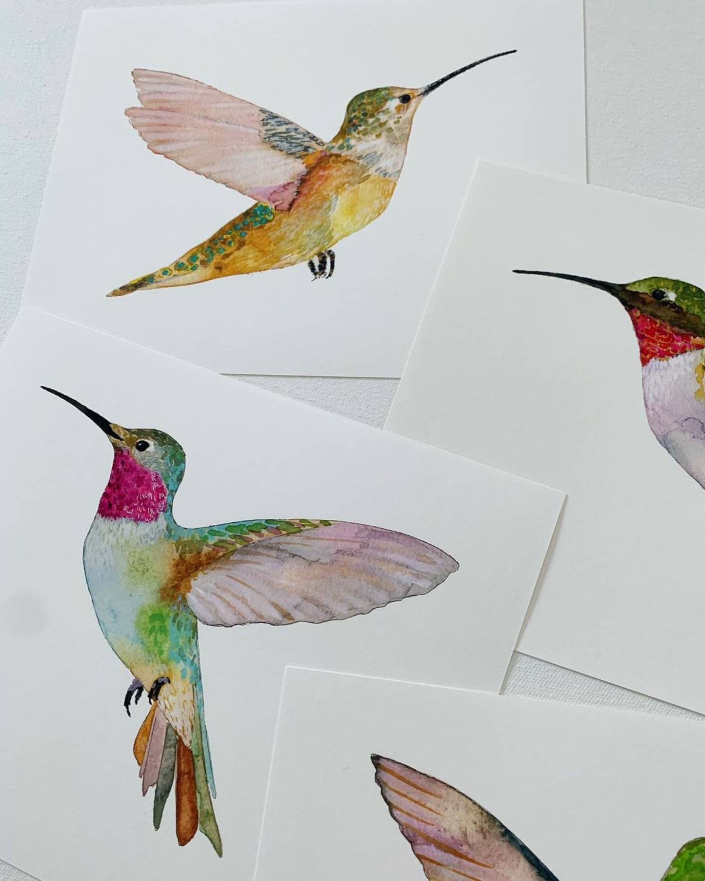Rofous Hummingbird, Art Print: 8"x10"
