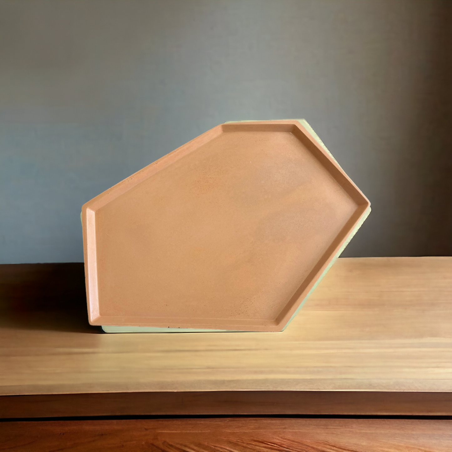 Large Rectangle Tray