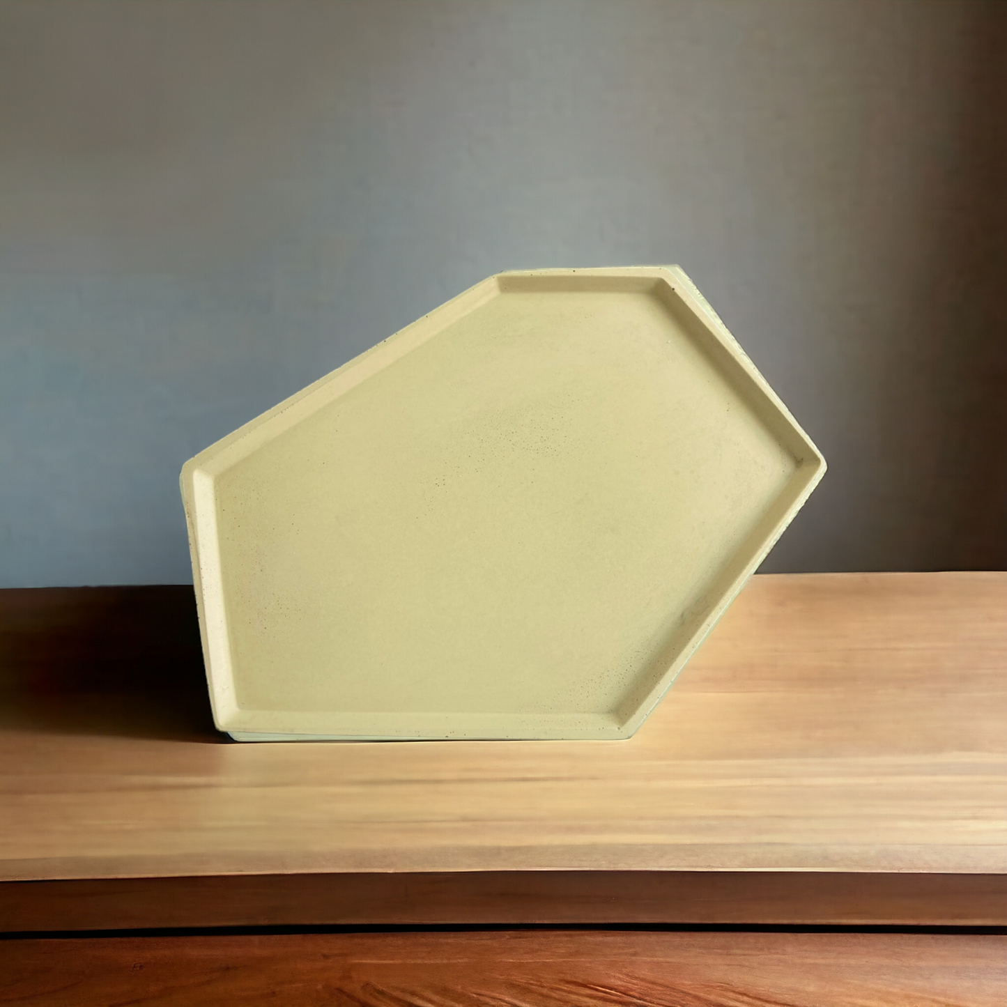 Large Rectangle Tray