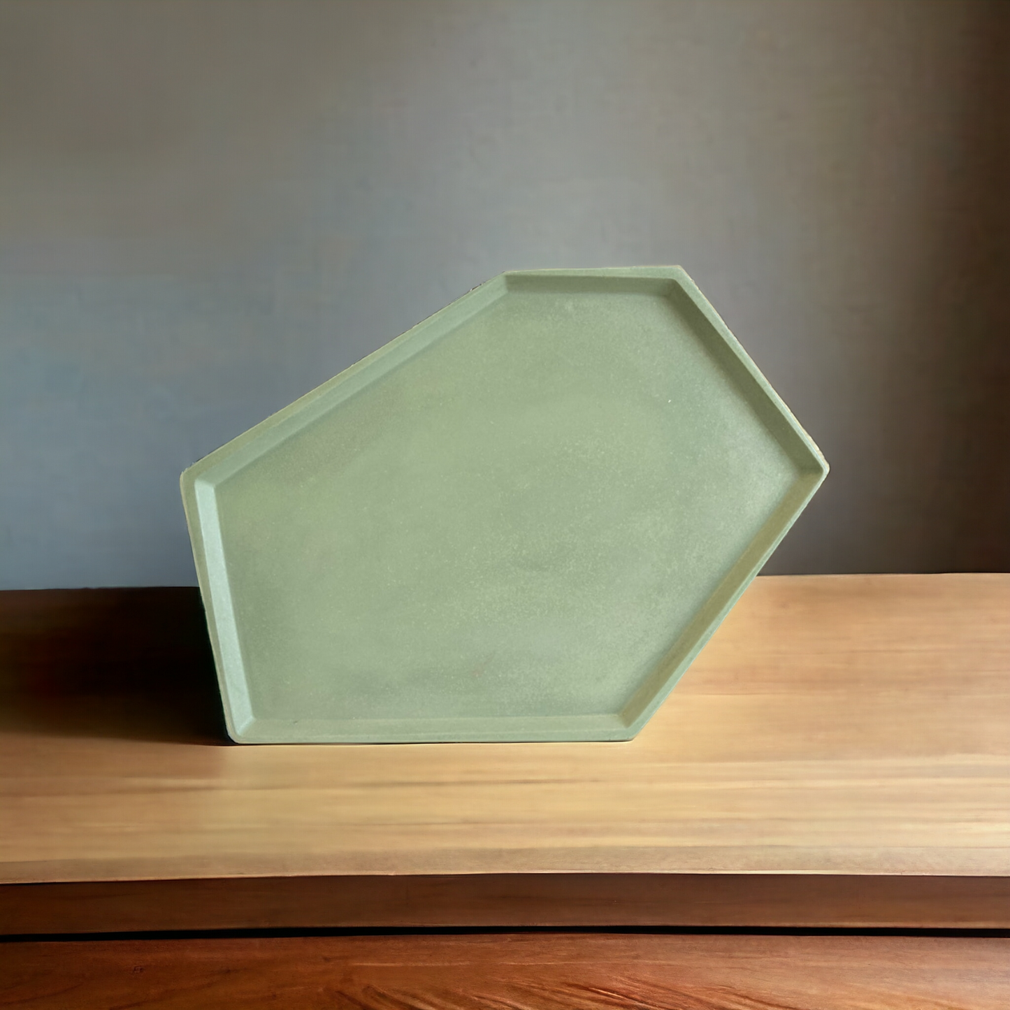 Large Rectangle Tray