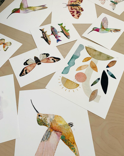 Rofous Hummingbird, Art Print: 8"x10"