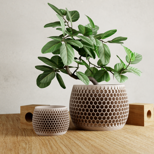 Honeycomb Planter