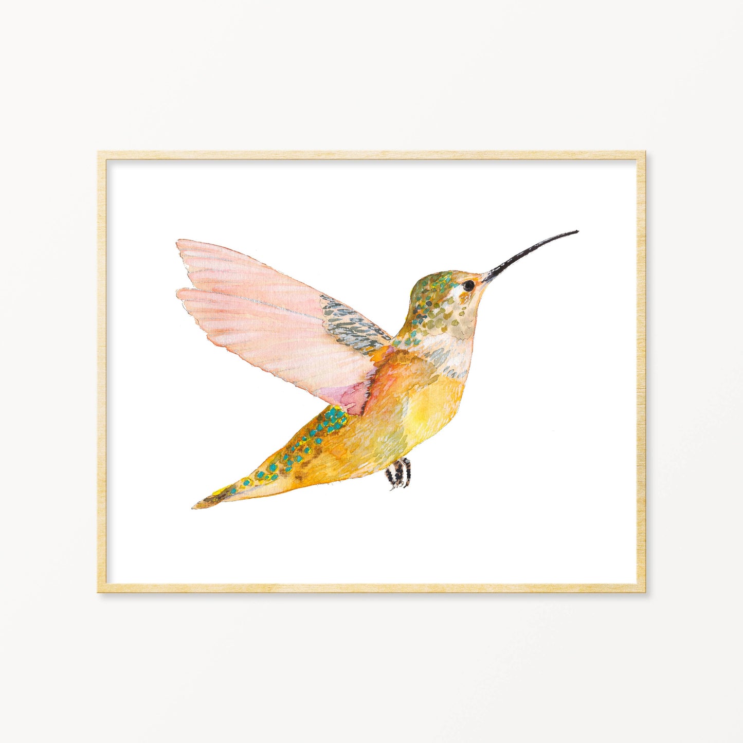 Rofous Hummingbird, Art Print: 8"x10"